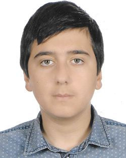 VIRVIDAKIS Ioannis